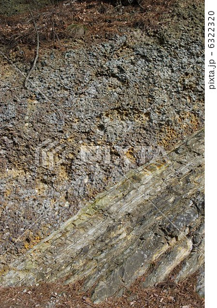 豆岩：れき（礫）岩・砂岩の地層 6322320