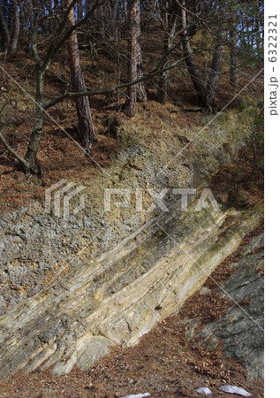 豆岩：れき（礫）岩・砂岩の地層 6322321