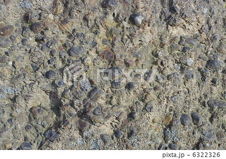 豆岩：れき岩の露頭拡大 6322326