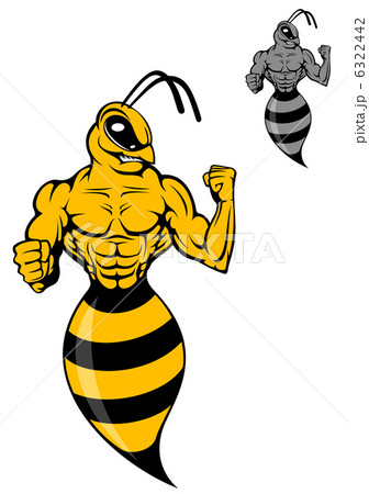 Powerful wasp or yellow hornet 6322442