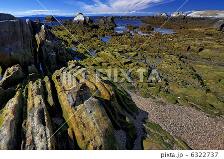 根本海岸屏風岩 6322737