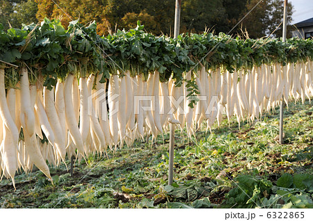 大根干し 6322865