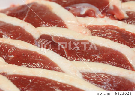 鴨肉 6323023