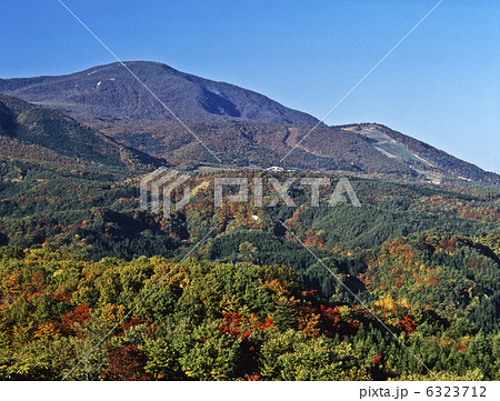 秋の泉ヶ岳 6323712