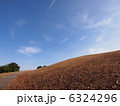丘 6324296