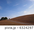 丘 6324297