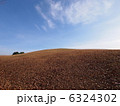 丘 6324302