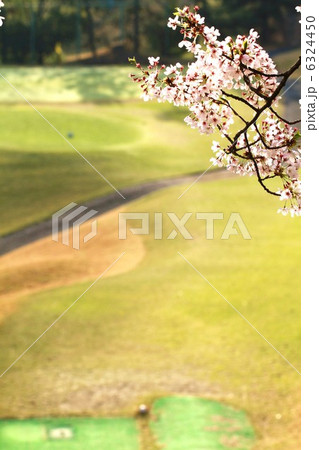 春ゴルフ 6324450