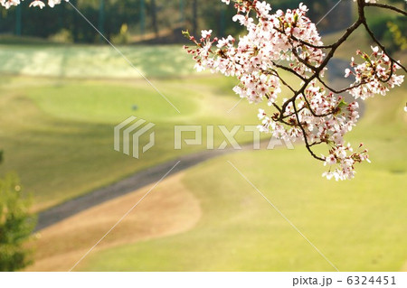 春ゴルフ 6324451