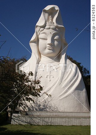 大船観音像 6324563