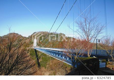 大迫力　竜神大吊橋 6324785
