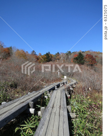 井戸湿原 6325075