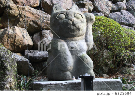 猫大師 猫大師 6325694