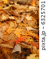 落ち葉 6325701