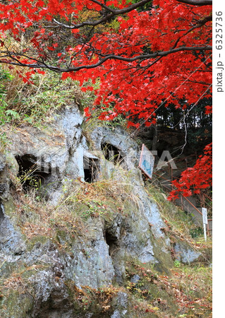 紅葉の吉見百穴－吉見にて 6325736