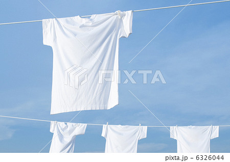 白いＴシャツ 6326044