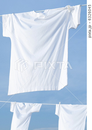 白いＴシャツ 6326045