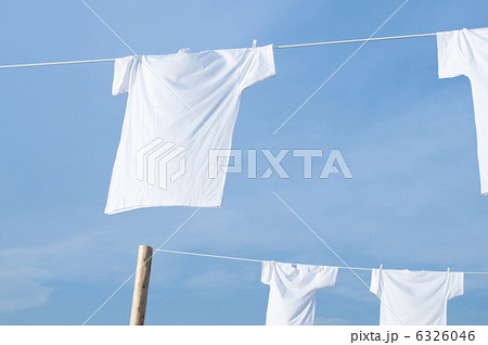 白いＴシャツ 6326046