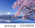 河口湖の桜と富士山 6326868