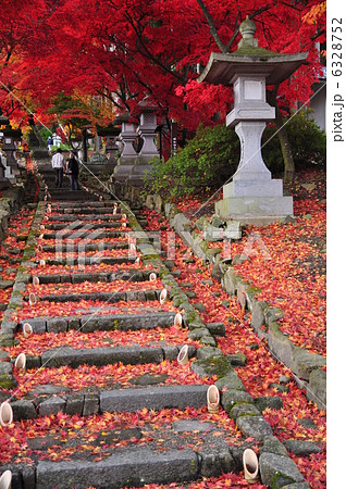 もみじの参道 6328752