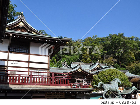 諏訪神社　鎮西大社 6328763