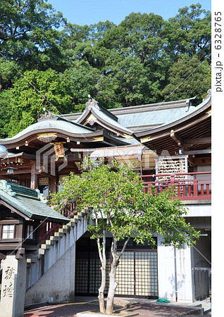 諏訪神社　鎮西大社 6328765