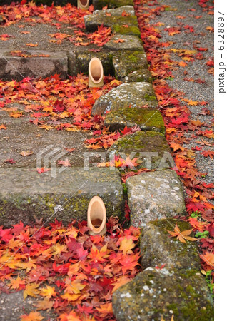 参道の竹灯篭 6328897