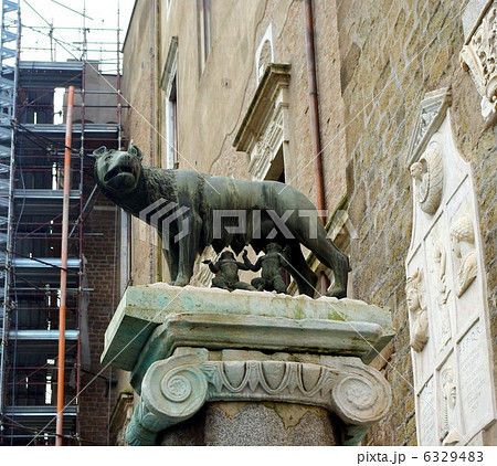 ローマのシンボル 雌狼と双子の像 ローマのシンボル 雌狼と双子の像 6329483
