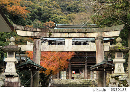 伊奈波神社 6330183