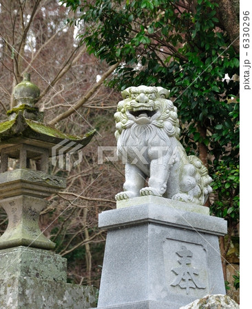 狛犬 6330296