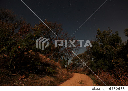 Night landscape, lonely tree in the night sky with moving stars 6330683