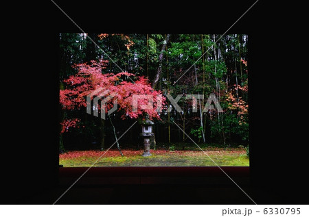 高桐院、和室からの眺め 6330795