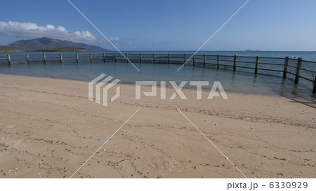 オーストラリアのディンゴビーチ 6330929