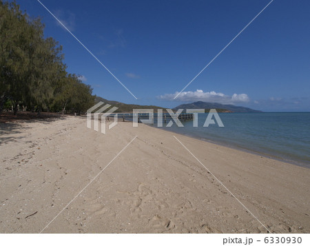 オーストラリアのディンゴビーチ 6330930