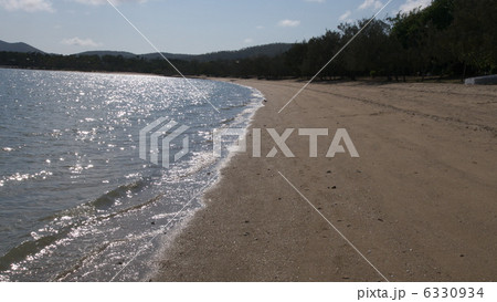 オーストラリアのディンゴビーチ 6330934