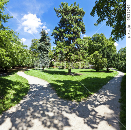 A simple but beautiful park on a sunny day 6331246