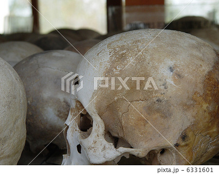 キリングフィールド(チュンエク)･慰霊塔の中の人骨（プノンペン／カンボジア） 6331601