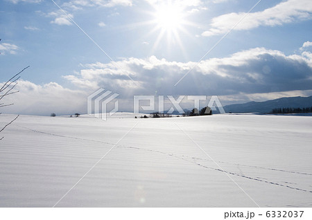 太陽に輝く雪原 太陽に輝く雪原 6332037