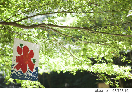 かき氷ののれん 6332316