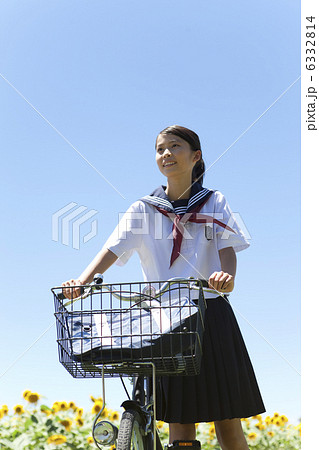 自転車を押している女子学生とヒマワリ畑 6332814