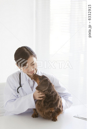 犬の診察をする獣医 6332915