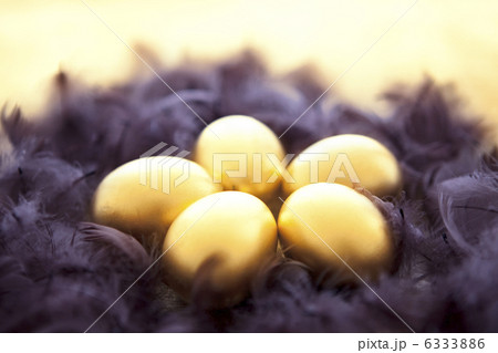 紫色の羽と金の卵 6333886