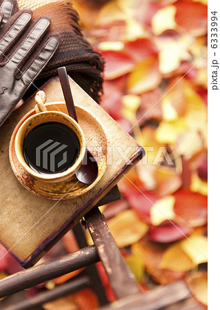 ティータイムイメージ 6333994