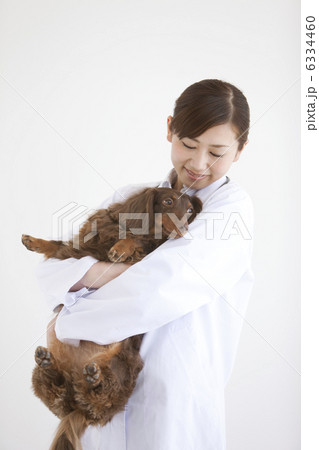 犬を抱えている獣医の写真素材 犬を抱えている獣医の写真素材