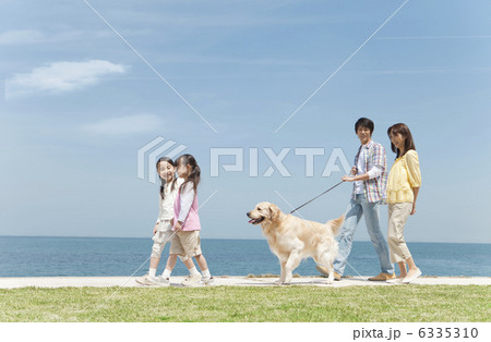 海岸を歩く家族と犬 海岸を歩く家族と犬 6335310