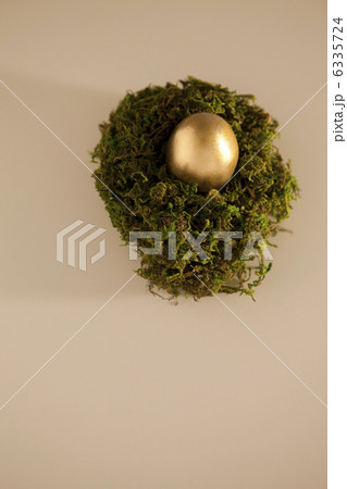 コケと金の卵 コケと金の卵 6335724