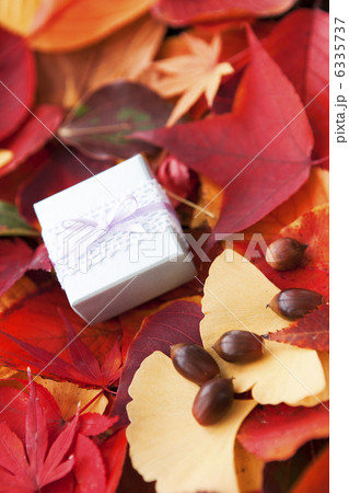 落ち葉とプレゼント 6335737