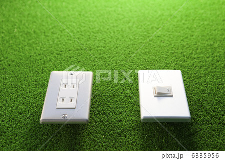 エコイメージ 6335956