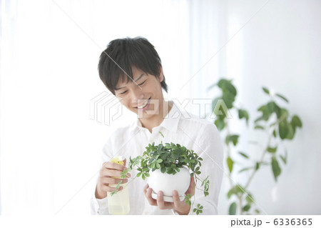 観葉植物に水やりする男性 観葉植物に水やりする男性 6336365