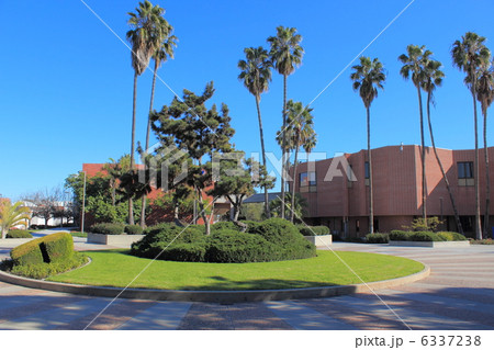 エルカミーノカレッジ 6337238